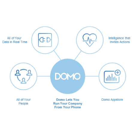 Domo Business Intelligence | Domo Professional Services